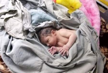 هر روز یک نوزاد در فارس رها می‌شود