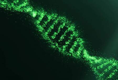 امکان آسیب ژنتیکی در اثر اصلاح ژن کریسپر