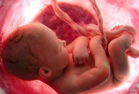 خلق جنین مصنوعی از سلول‌های بنیادی