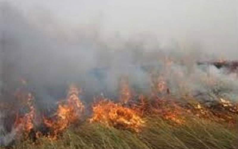 اطفای کامل آتش سوزی در «هورالعظیم»