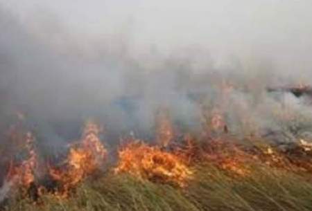 اطفای کامل آتش سوزی در «هورالعظیم»