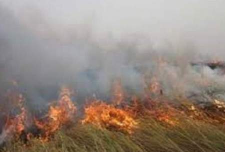 آتش سوزی در هورالعظیم ادامه دارد