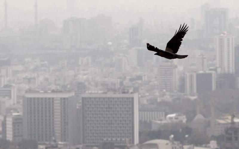 مرگ سالانه 5 هزار نفر بر اثر آلودگی هوا