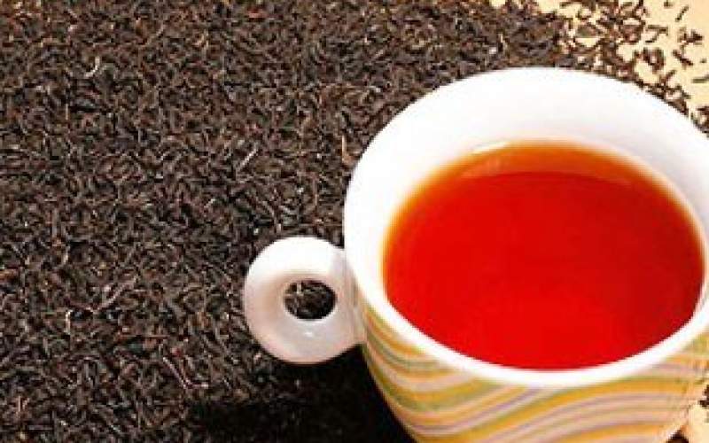 مخالفت سازمان چای با ممنوعیت صادرات