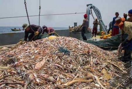 ماهیگیری چینی‌ها در آب‌های عمیق ایران