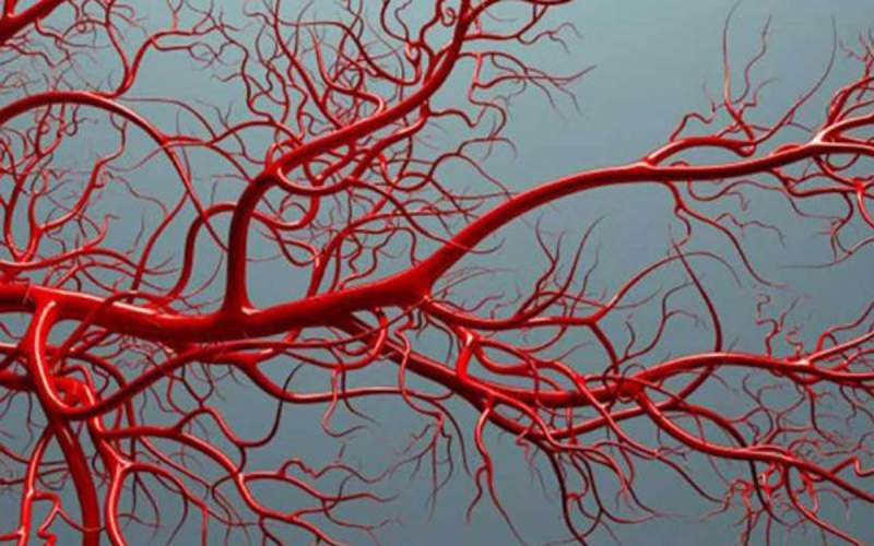 رشد رگ های خونی با نانو ذرات رُس