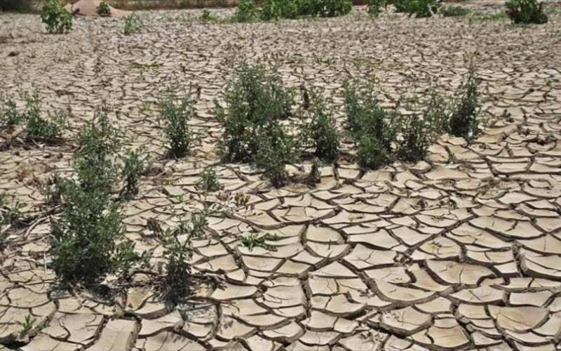 ۸۰ درصد دشت‌های ایران خشک هستند