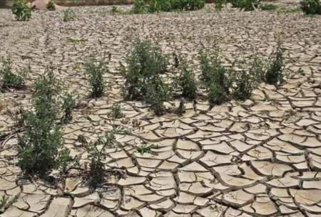 ۸۰ درصد دشت‌های ایران خشک هستند