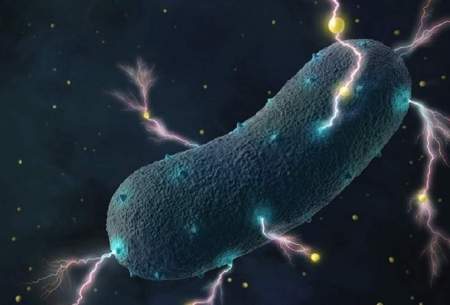 باکتری الکتریکی در روده انسان کشف شد