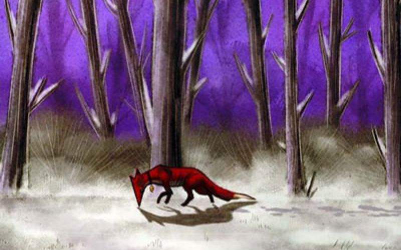 «روباه» بهترین انیمیشن جشنواره «وارنا» شد