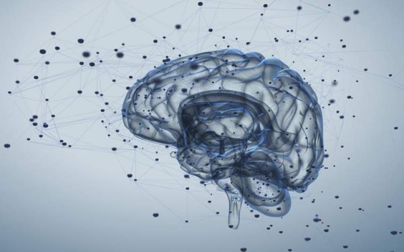 ارسال افکار مغز به دیگران با شبکه مغزی