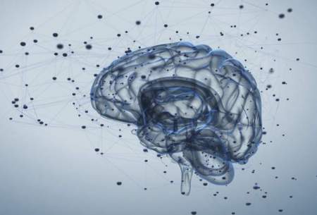 ارسال افکار مغز به دیگران با شبکه مغزی
