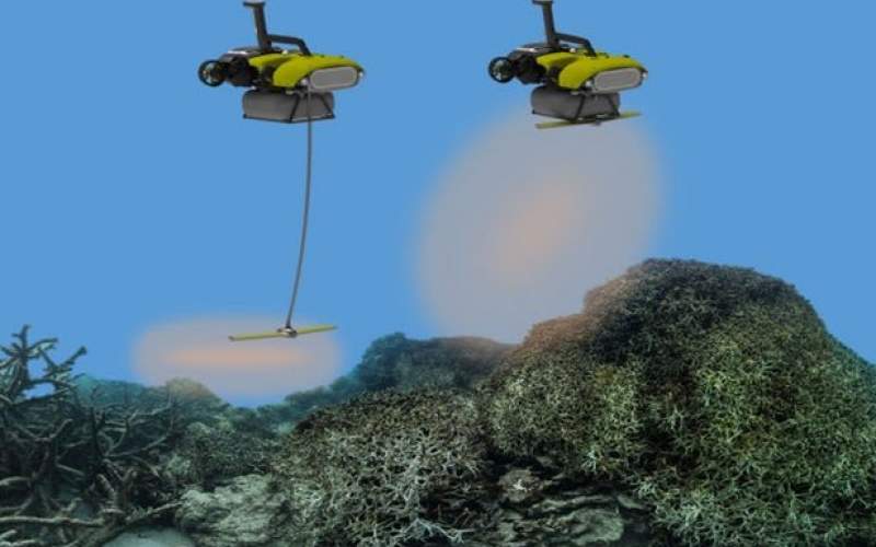 ربات‌ها صخره‌های مرجانی را نجات می‌دهند