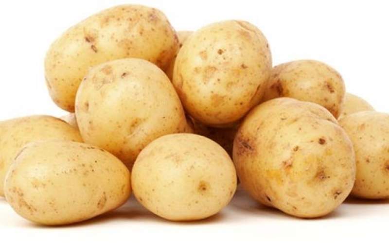 گزارش تکان‌دهنده از تولید سیب‌زمینی در كشور!