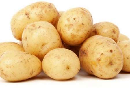گزارش تکان‌دهنده از تولید سیب‌زمینی در كشور!