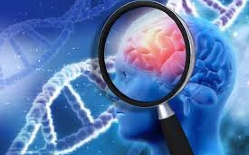 شناسایی یک تغییر ژنتیکی موثر بر بیماری مغزی