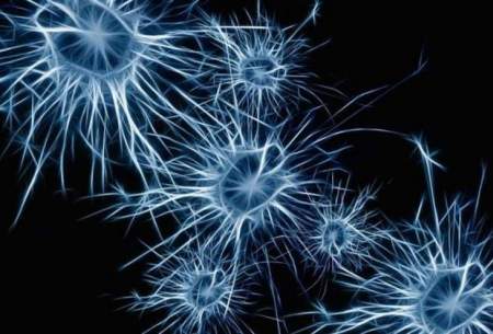 توسعه روش ژن‌درمانی جدید برای ایجاد نورون!