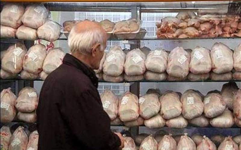 صادرات آزاد شد، مرغ گران شد