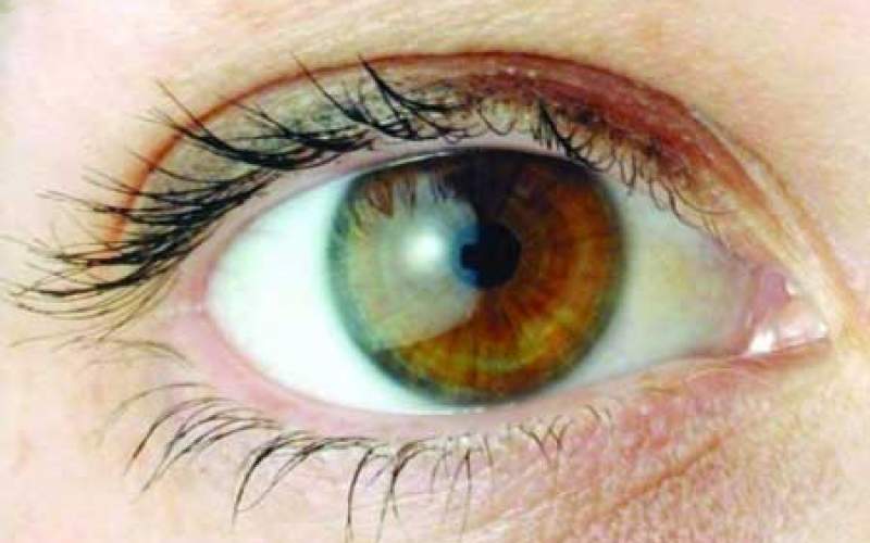خشکی چشم موجب کُندی روندمطالعه می‌شود
