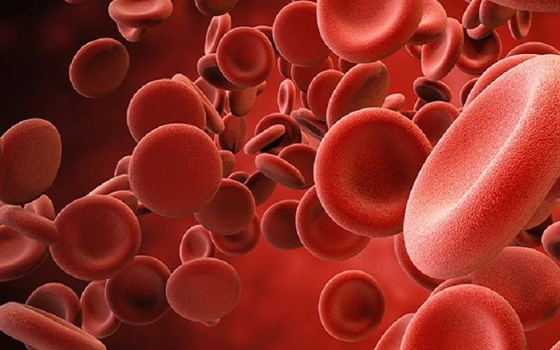کشف منبع جدید سلول های خونی در بدن