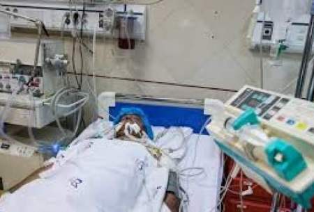 وقوع سالانه ۸ هزار مرگ مغزی در ایران