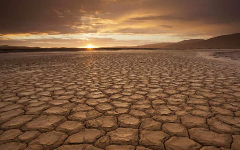 کاهش میزان خشکسالی با کمک موریانه‌ها