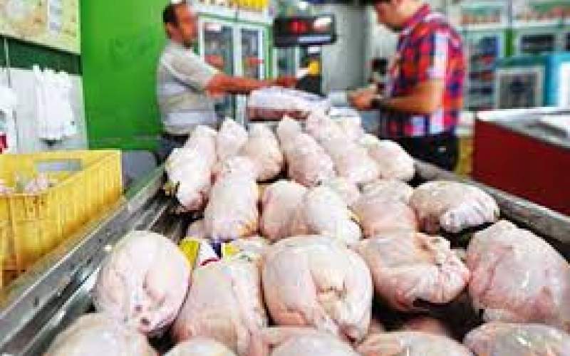 توزیع روزانه ۵۰۰ تن مرغ برای تنظیم بازار