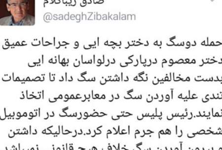 زیباکلام: ممنوعیت سگ‌گردانی قانوني نيست