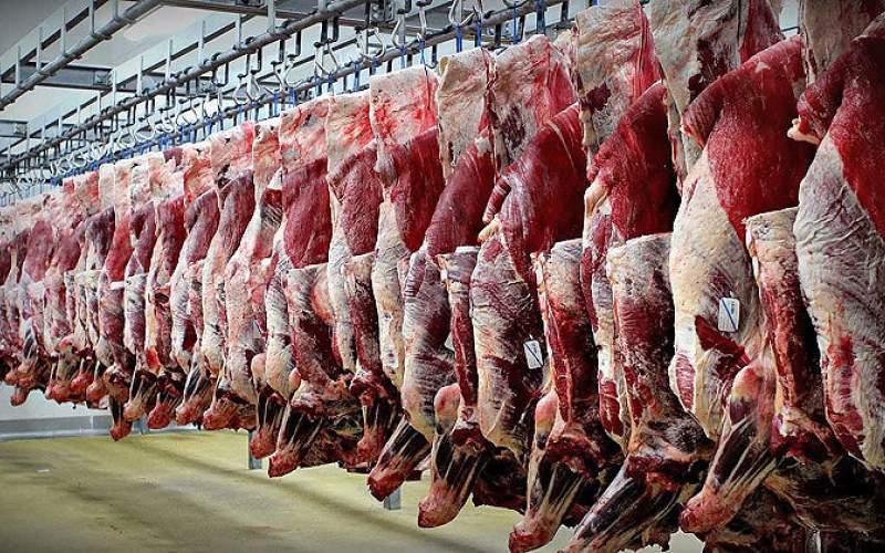 اتحادیه دامداران: گرانی گوشت ربطی به ما ندارد