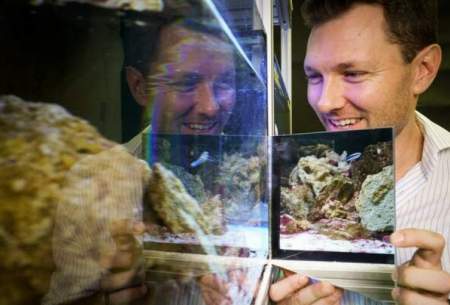 ماهی‌ها تصویر خود رادر آینه تشخیص می‌دهند
