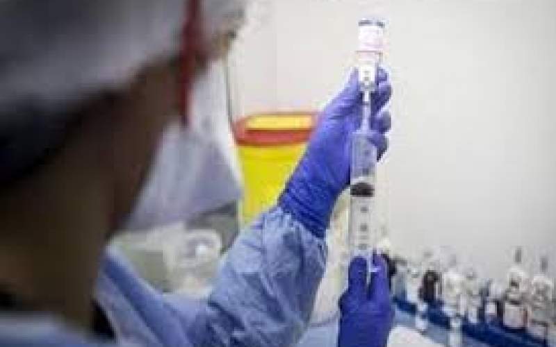 اظهارات متناقض درباره آنفلوانزای خوکی در ایران