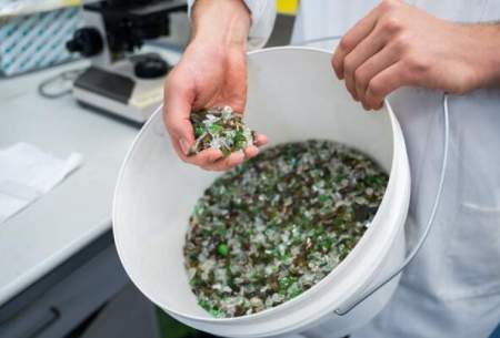 تولید مواد کارآمد با کمک شیشه‌های بازیافتی