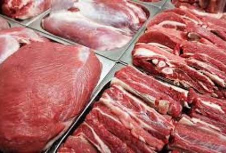گمرک: 700 کانتینر گوشت در گمرک داریم
