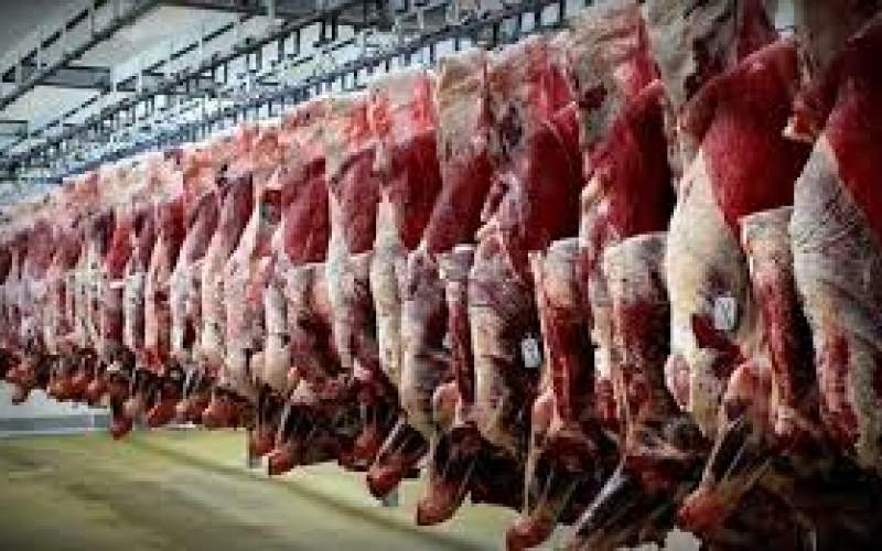 سود واردات گوشت چقدر است؟