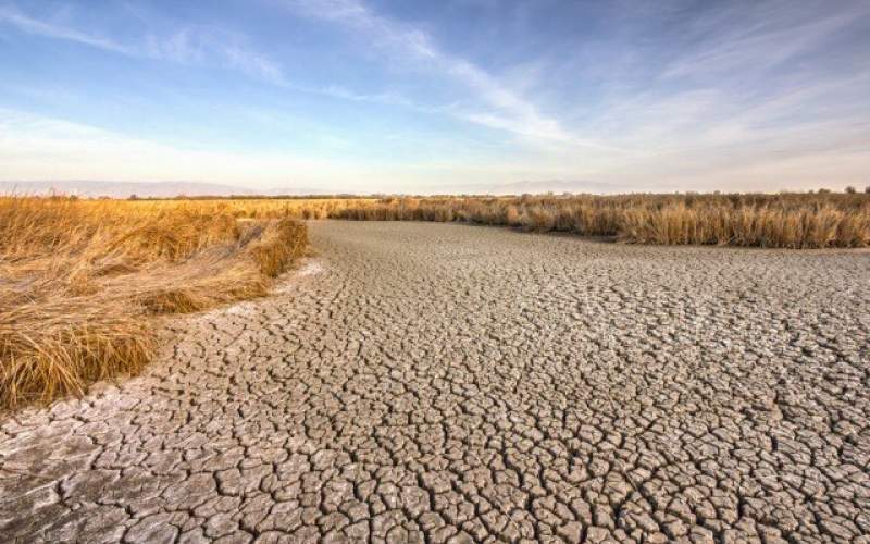 روشی برای پیش‌بینی سریع و دقیق خشکسالی