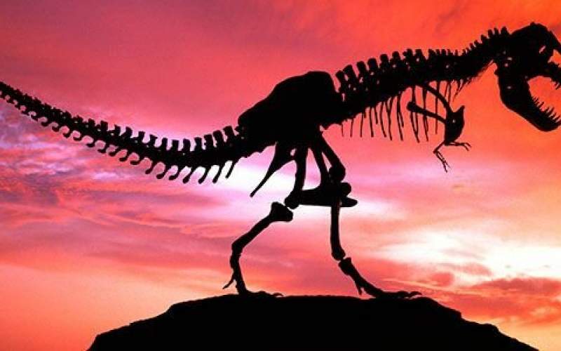 سردرگمی در مورد علل انقراض دایناسورها