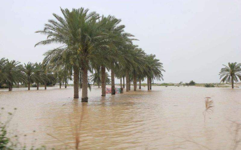 دهها روستای شادگان همچنان زیر آب هستند