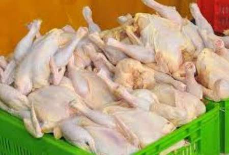 اقدام وزارت کشاورزی درراستای گرانی مرغ!؟