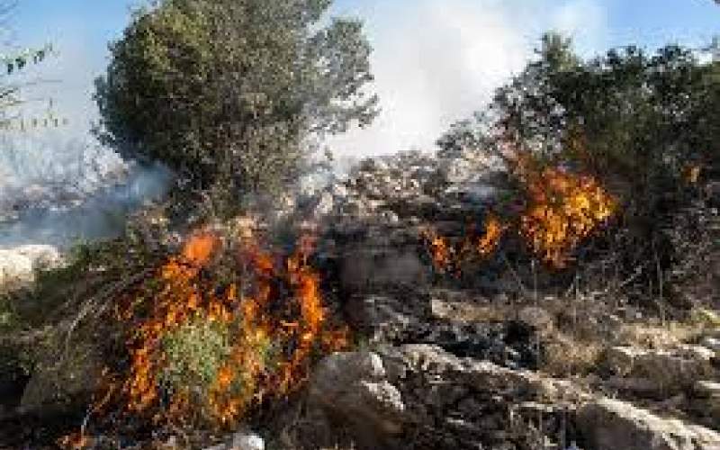 ۴۰ هکتار از جنگل‌های گچساران در آتش سوخت