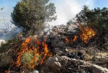 ۴۰ هکتار از جنگل‌های گچساران در آتش سوخت