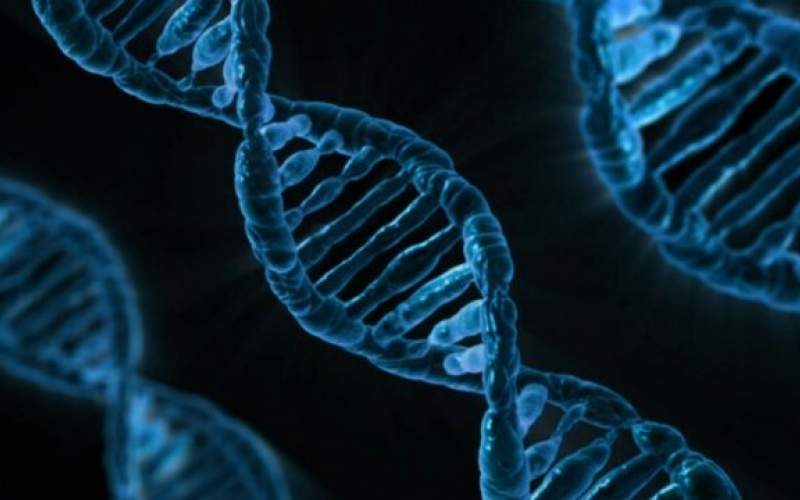 ساخت یک ارگانیسم زنده با ژن‌های مصنوعی