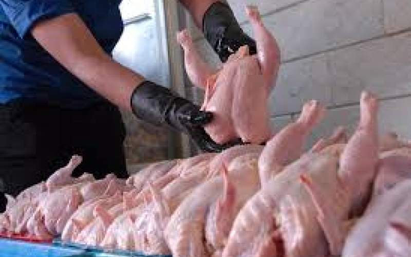 واردات مرغ برای کنترل بازار مجاز شد