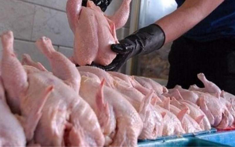 رمضان، افزایش قیمت مرغ را به تاخیر انداخت