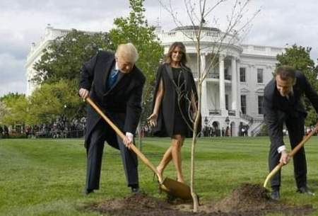درخت دوستی ترامپ و ماکرون خشک شد