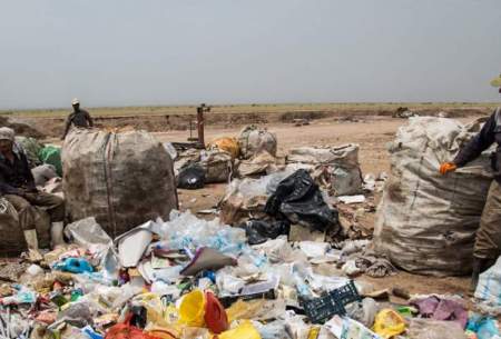 وجود ۱۴ هزار «زباله‌گرد» غیررسمی در کشور