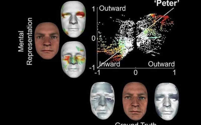 هک مغز انسان برای بازسازی تصاویر ذهنی افراد