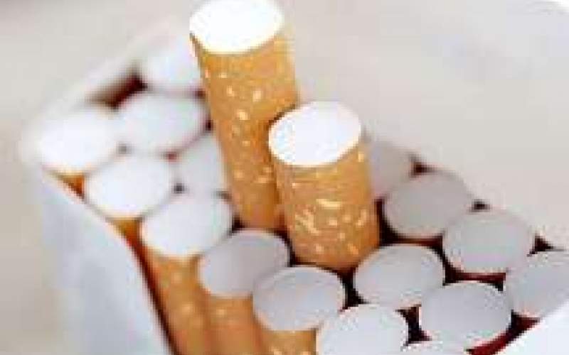۶نکته‌ درباره تهدیدهای سیگار برای محیط زیست