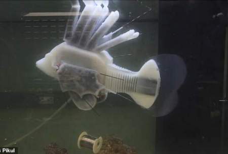 ماهی رباتیکی که با خون مصنوعی حرکت می‌کند