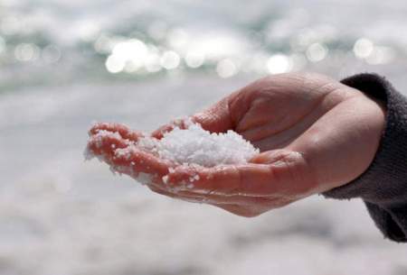 نمک دریا عامل انتقال بیماری‌های عفونی