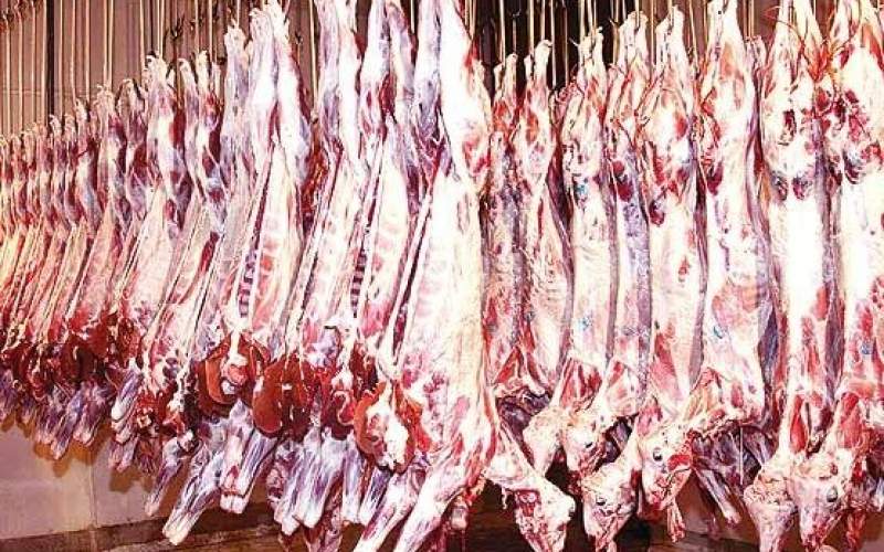 قیمت منطقی گوشت؛ کیلویی ۷۵هزار تومان